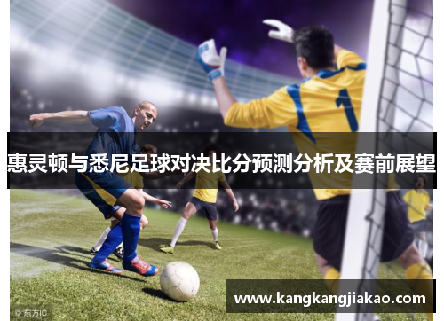 惠灵顿与悉尼足球对决比分预测分析及赛前展望