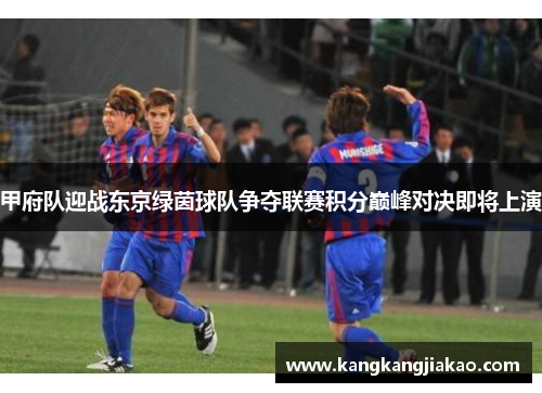 甲府队迎战东京绿茵球队争夺联赛积分巅峰对决即将上演