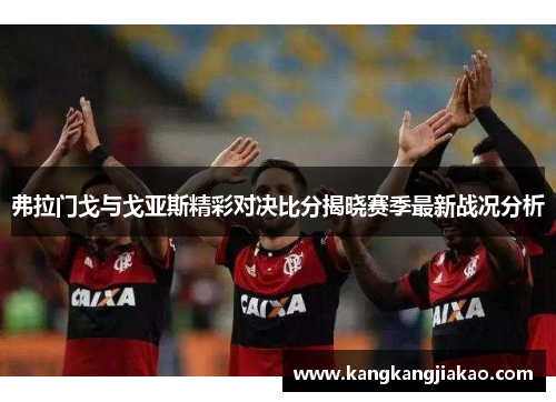 弗拉门戈与戈亚斯精彩对决比分揭晓赛季最新战况分析